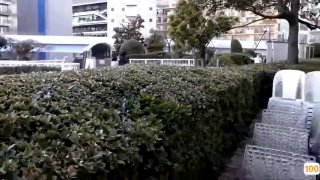1024日韩精品一区